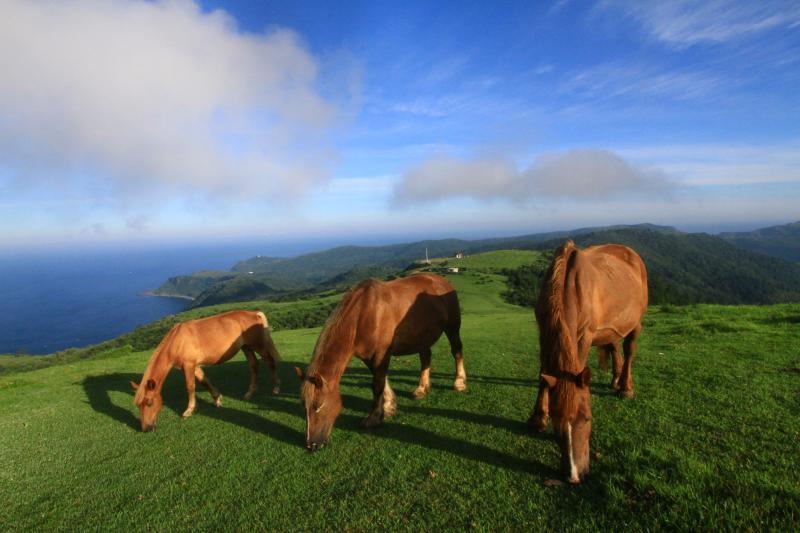 赤尾展望所(西ノ島)