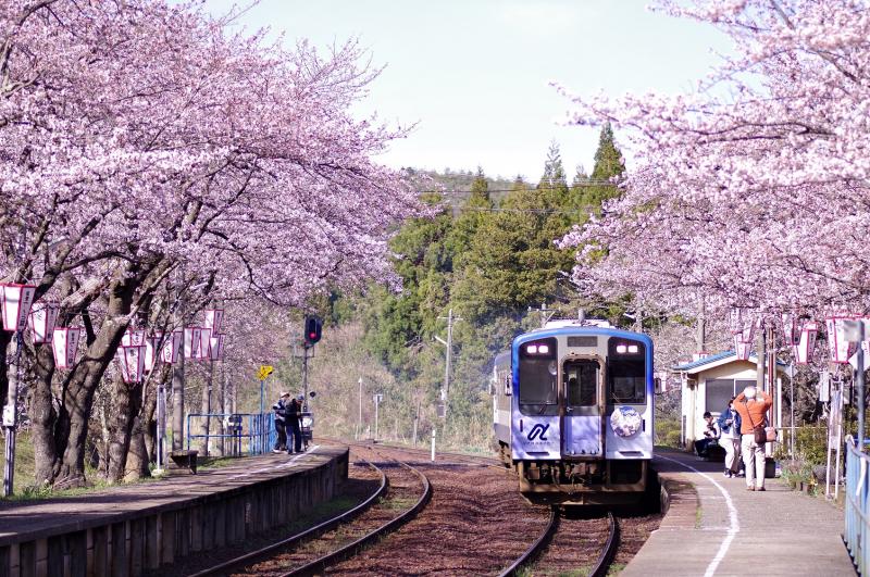 鵜戸神宮