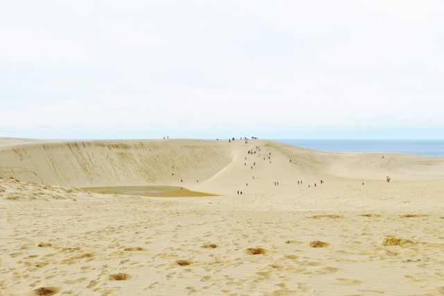 鳥取砂丘